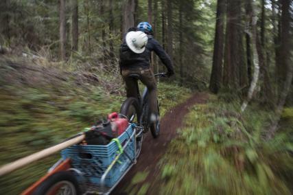 Shimano Trail Born Fonds