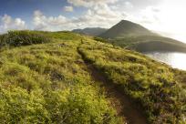 Shimano Trail Born Fonds