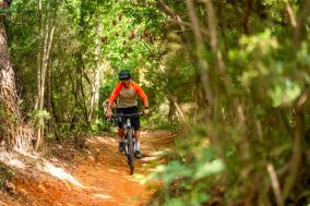 Schwalbe Albert und Shredda MTB-Reifen