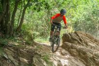 Schwalbe Albert und Shredda MTB-Reifen