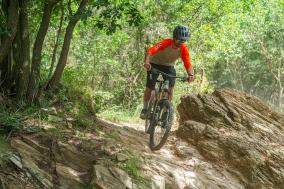 Schwalbe Albert und Shredda MTB-Reifen