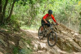 Schwalbe Albert und Shredda MTB-Reifen
