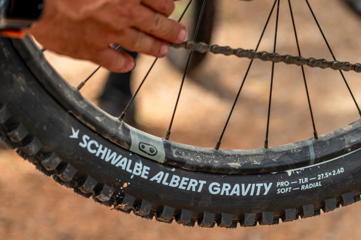 Schwalbe Albert und Shredda MTB-Reifen