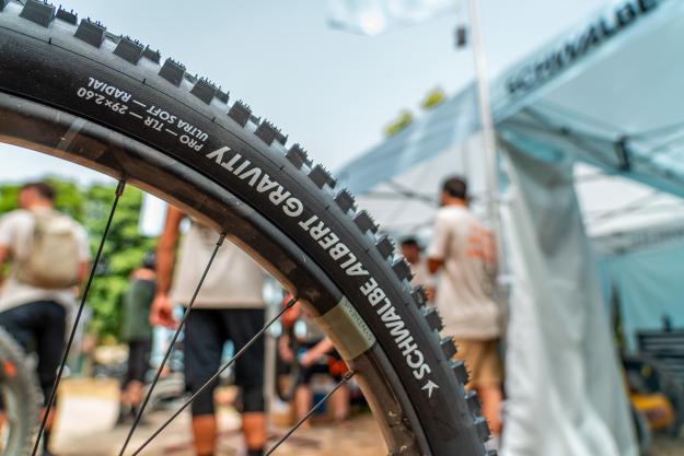 Schwalbe Albert und Shredda MTB-Reifen