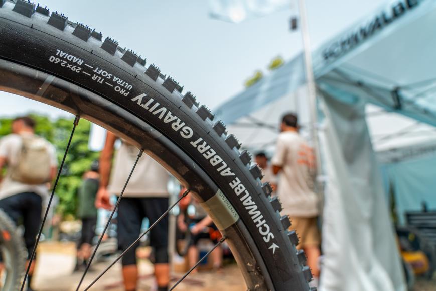 Schwalbe Albert und Shredda MTB-Reifen