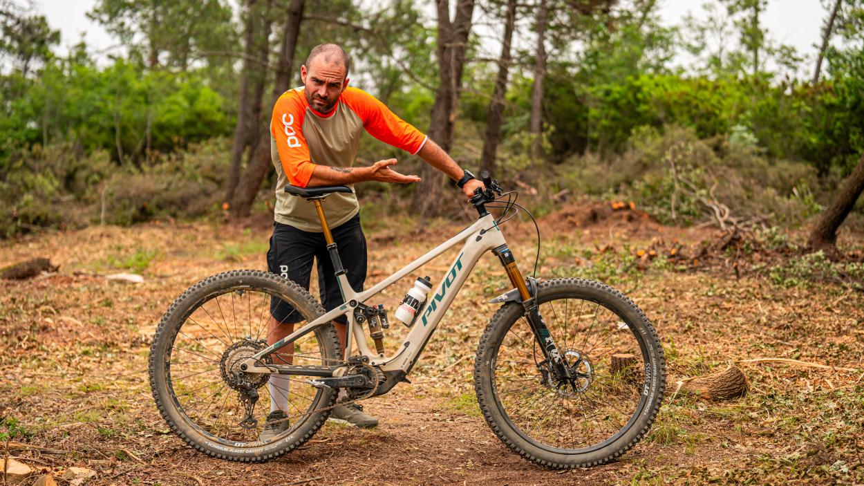 Schwalbe Albert und Shredda MTB-Reifen