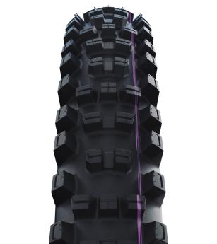 Shredda Rear
