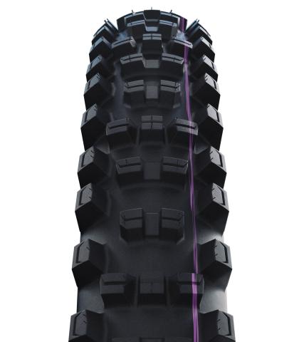 Shredda Rear