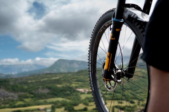 Schwalbe Albert und Shredda MTB-Reifen