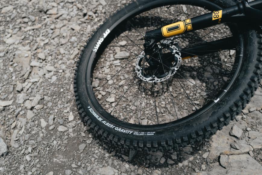 Schwalbe Albert und Shredda MTB-Reifen