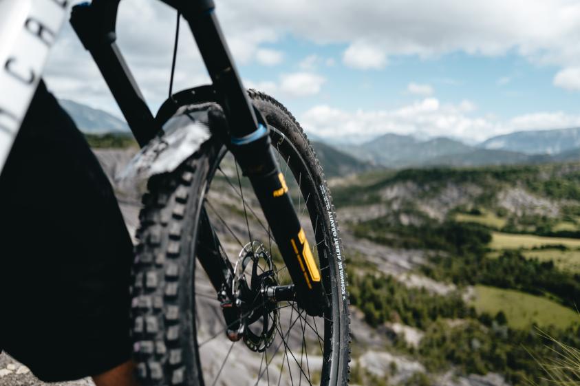 Schwalbe Albert und Shredda MTB-Reifen