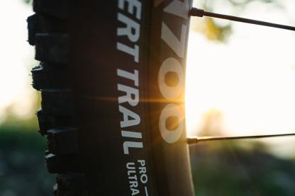 Schwalbe Albert und Shredda MTB-Reifen