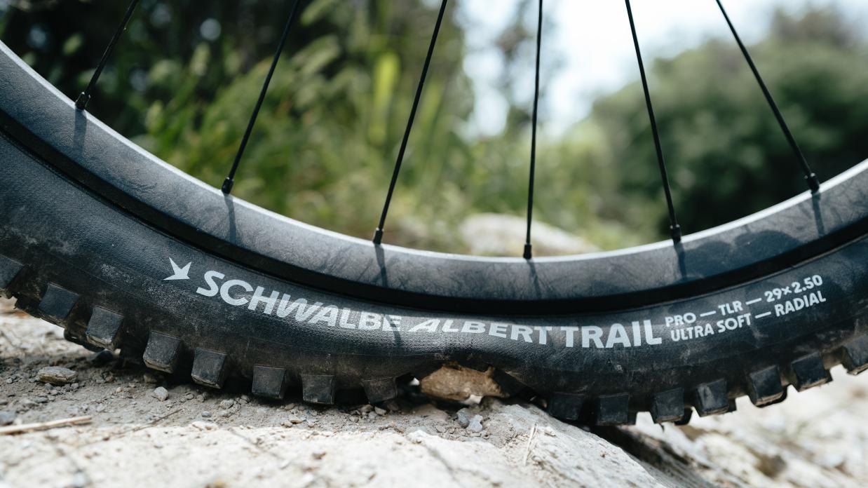 Schwalbe Albert und Shredda MTB-Reifen