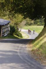 5 Jahre 33+ Gravelstyria