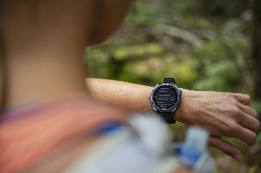 Garmin Fenix 8