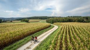 Gravelbiken im WaldviertelEinmal Hochebene und zurück. Wir erkunden Stadt, Land, Fluss nordöstlich des Kremstals und lustwandeln dabei auf abwechslungsreichen Wegen zwischen Äckern, Wald und Wein.