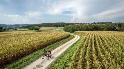 Gravelbiken im WaldviertelEinmal Hochebene und zurück. Wir erkunden Stadt, Land, Fluss nordöstlich des Kremstals und lustwandeln dabei auf abwechslungsreichen Wegen zwischen Äckern, Wald und Wein.