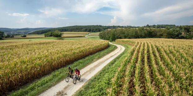Gravelbiken im Waldviertel