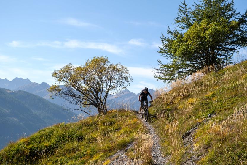 Guiding Trans Piemont