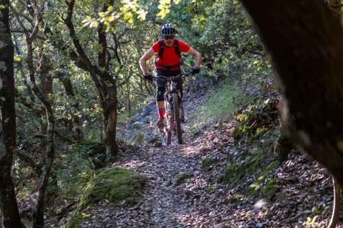 Guiding Trans Piemont