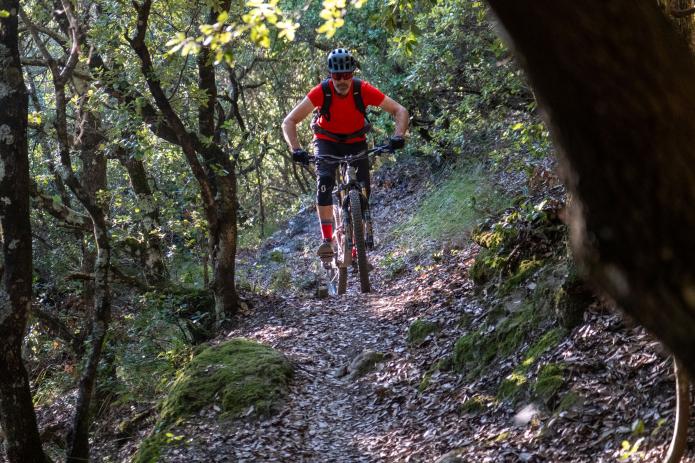 Guiding Trans Piemont