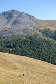 Guiding Trans Piemont