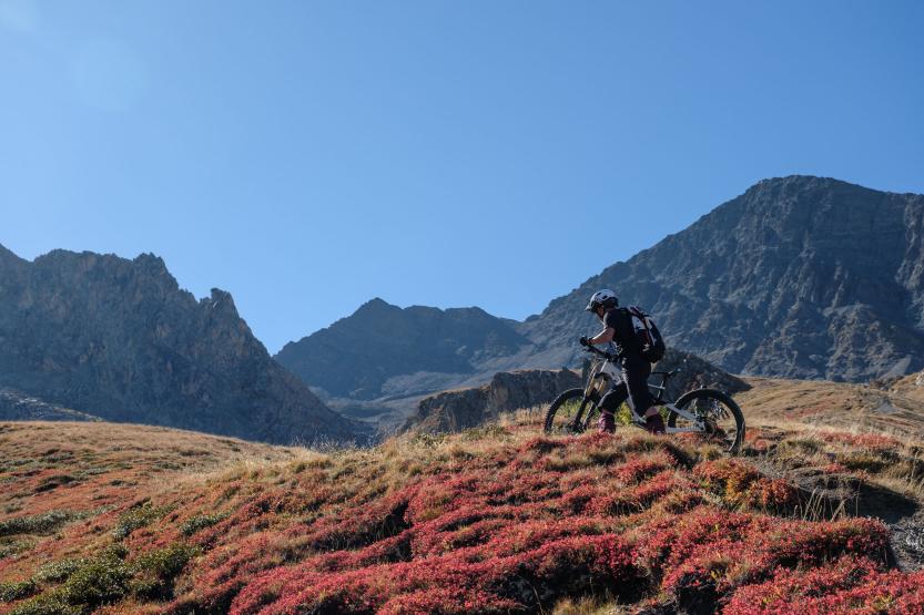 Guiding Trans Piemont