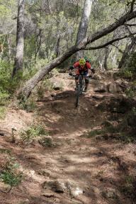 Guiding Trans Piemont