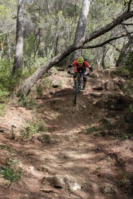 Guiding Trans Piemont