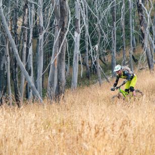 Guiding Trans Piemont