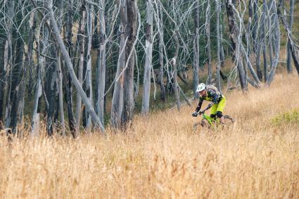 Guiding Trans Piemont