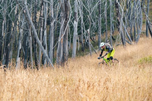 Guiding Trans Piemont