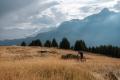 Guiding Trans Piemont