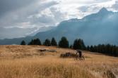 Guiding Trans Piemont
