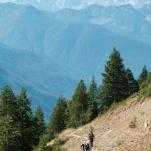 Guiding Trans Piemont