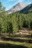 Guiding Trans Piemont