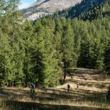 Guiding Trans Piemont