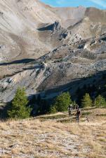 Guiding Trans Piemont