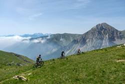 Guiding Trans Piemont