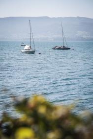  King of the Lake 2024 Nachbericht