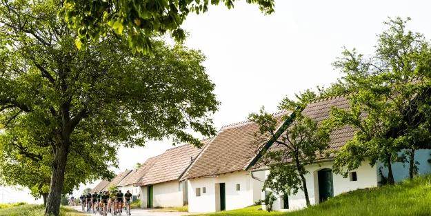 IVV Fackelfahrt 2024