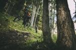 Trek Rail+ und Powerfly+ 2025