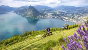 Trailsafari im TessinEinmal Ticino-Nord, zweimal Ticino-Süd. Drei Mountainbike-Klassiker im Umland von Airolo und Lugano, ideal für einen verlängerten Herbst oder frühen Frühling im Hochgebirge. Palmen und Zitronenbäume gibt's frei Haus dazu.