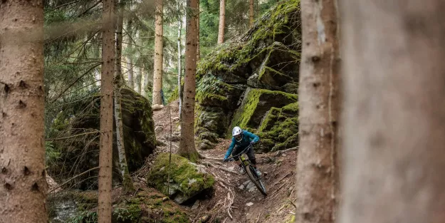 Bikepark am Schneeberg geplant