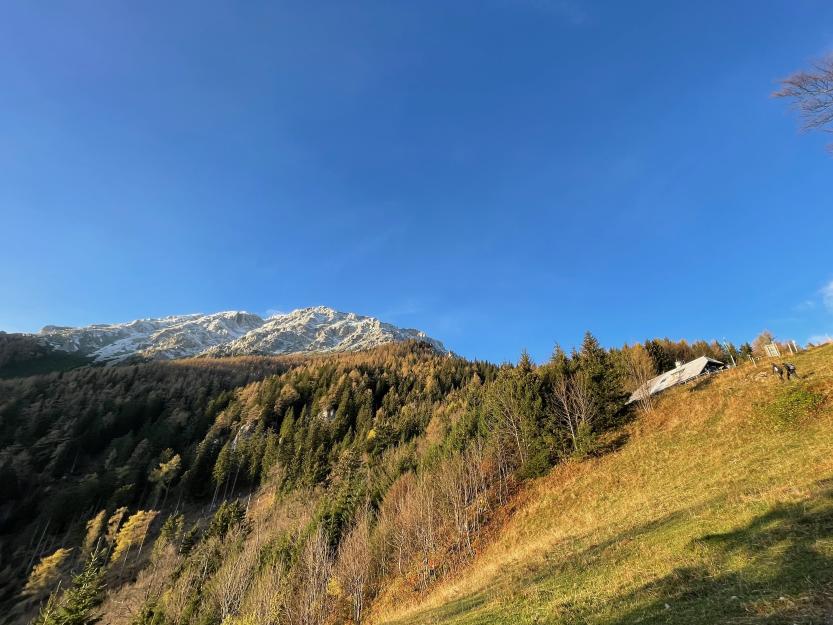 Edelweißhütte mit Blick auf Schneeberg