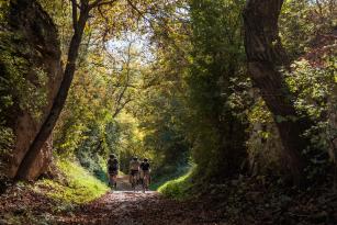 Loisium-to-Loisium Unsupported Bikepacking (powered by Odlo)