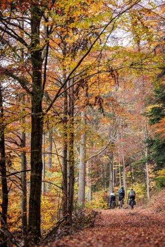 Loisium-to-Loisium Unsupported Bikepacking (powered by Odlo)