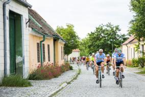 In Velo Veritas Anmeldestart