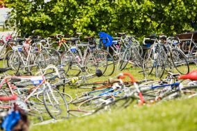 In Velo Veritas Anmeldestart