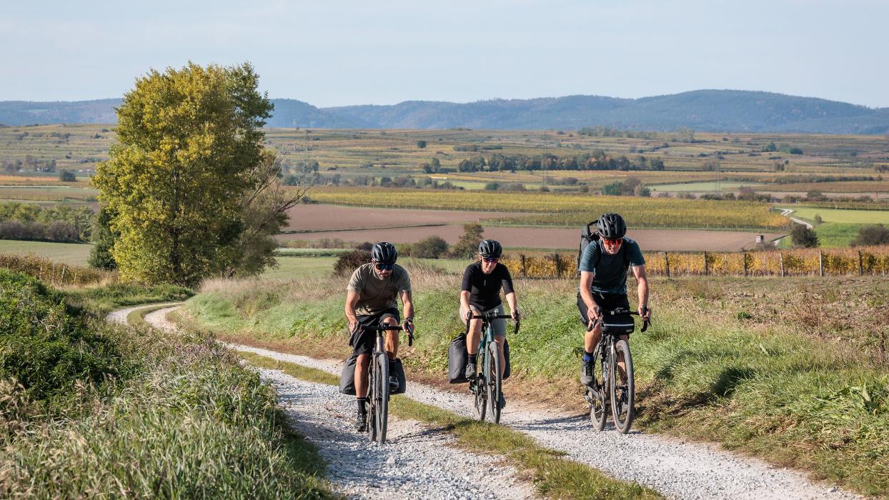 Contec Gepäcklösungen mit Ortlieb Quick-Rack + Mudguard